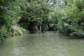 (31) Le Marais Poitevin
